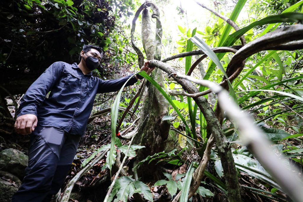 Keluasan hutan simpan kekal Selangor meningkat 858 hektar dalam 10 tahun