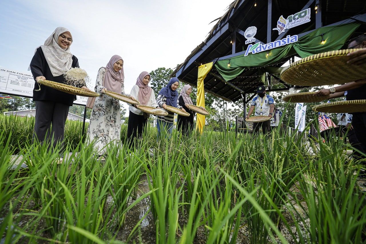 PeTA 2.0 tumpu pertanian moden, perkukuh keterjaminan makanan - EXCO