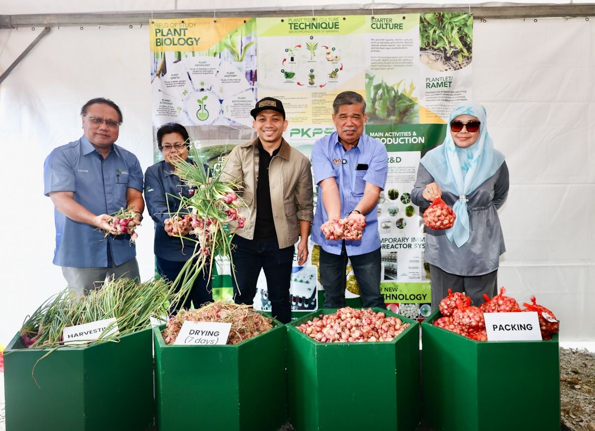 PeTA 2.0 tumpu pertanian moden, perkukuh keterjaminan makanan - EXCO