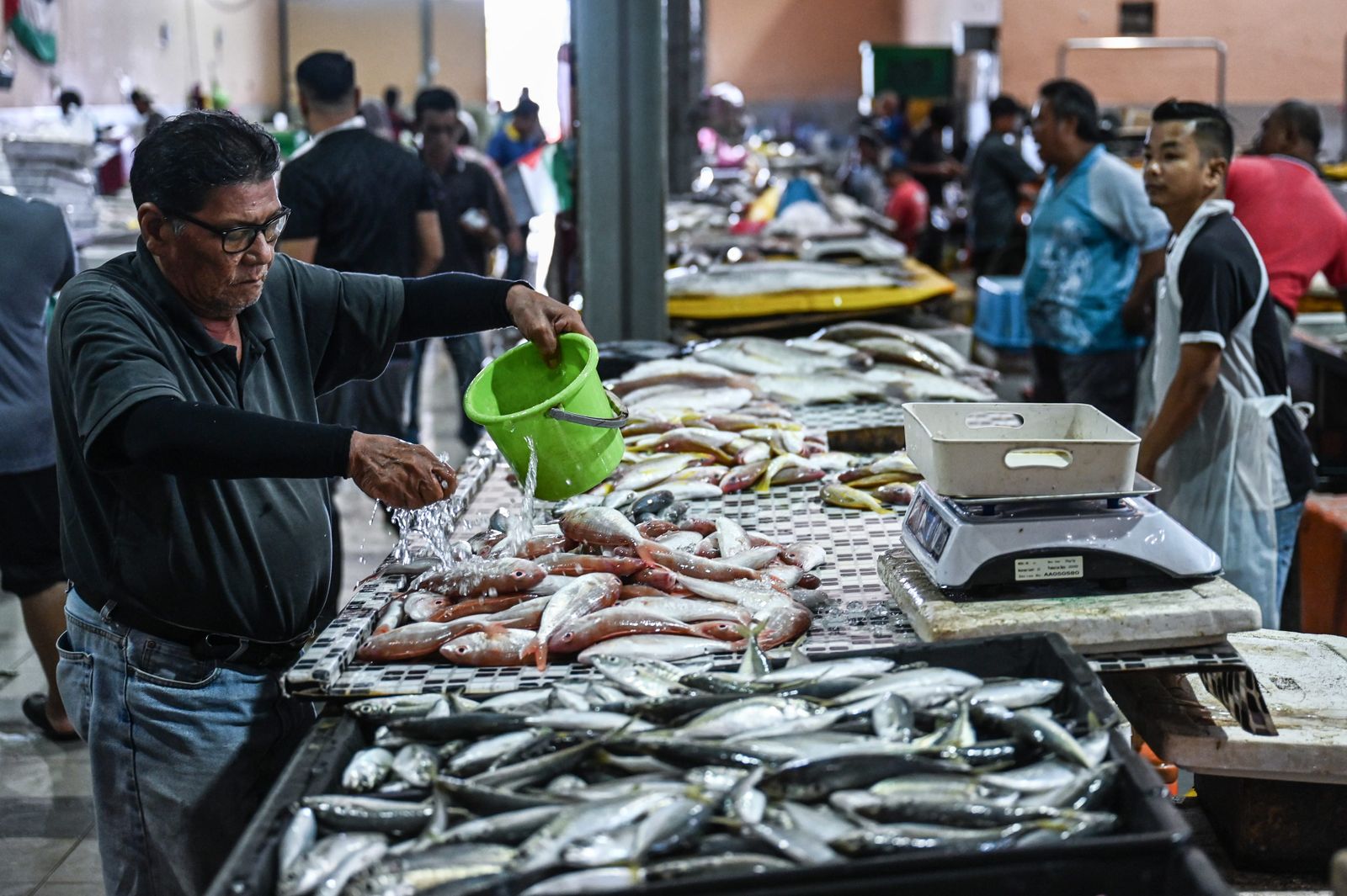 LKIM sedia 10,000 tan metrik stok ikan, persiapan hadapi musim tengkujuh
