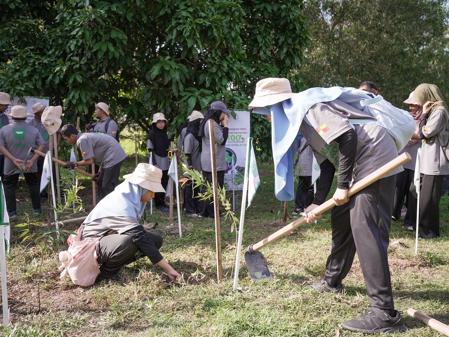 Lapan juta pokok ditanam di Selangor, hampir capai sasaran 11 juta