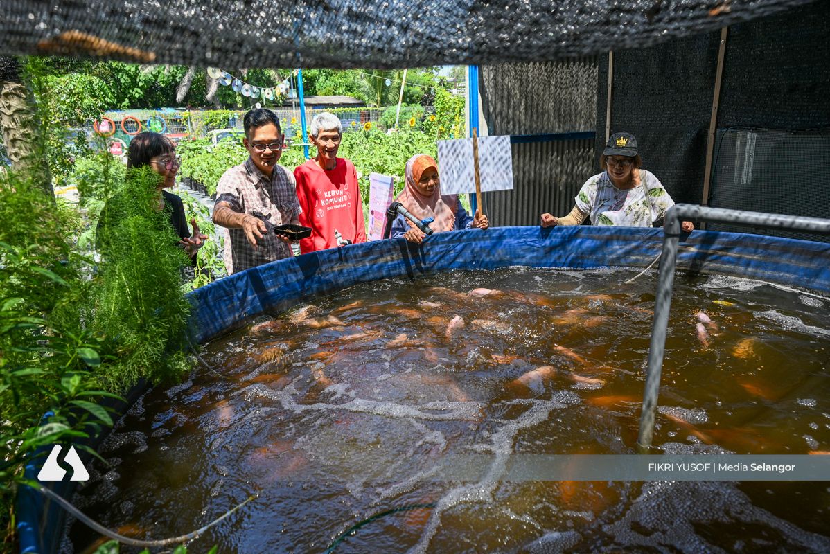 UPM perkasa sistem akuakultur lestari di Flat Ikan Sri Serdang