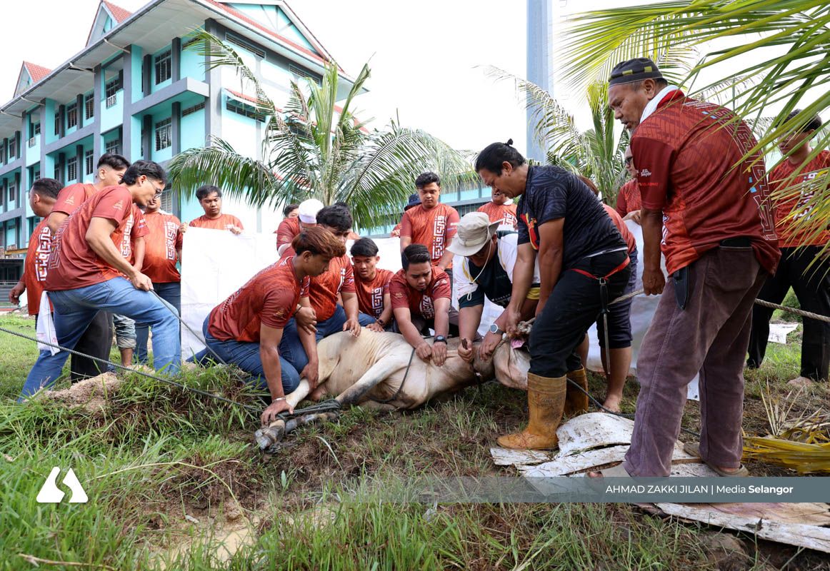 Usia 19 tahun bukan halangan Aqil galas tugas penyembelih korban