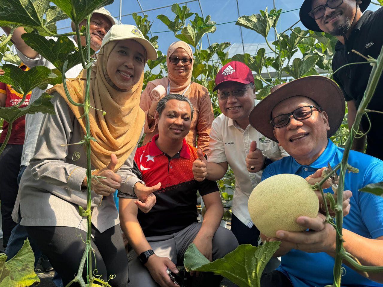 Projek Mas Melon Kuala Langat buka peluang baharu industri pertanian Selangor