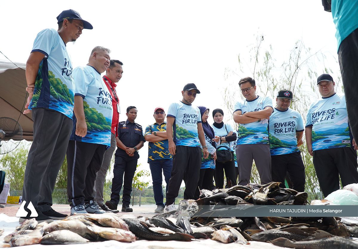 Rivers For Life: MPKj giat pelihara sungai, tangani ikan asing di Tasik Sungai Chua