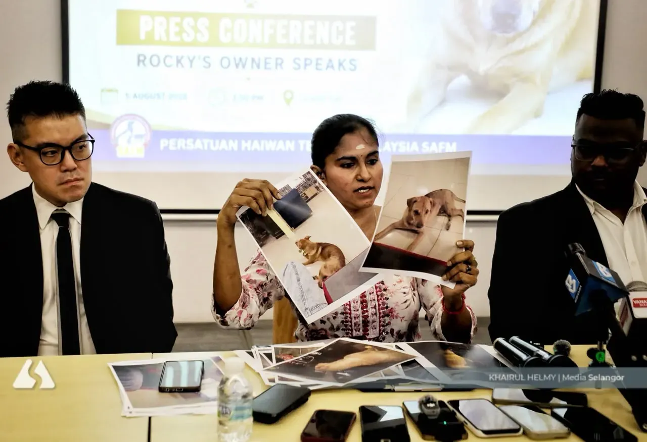 ராக்கி வளர்ப்பு நாய் உயிரிழந்த சம்பவம்: ஆடவர் மீது வியாழக்கிழமை நீதிமன்றத்தில் குற்றச்சாட்டு