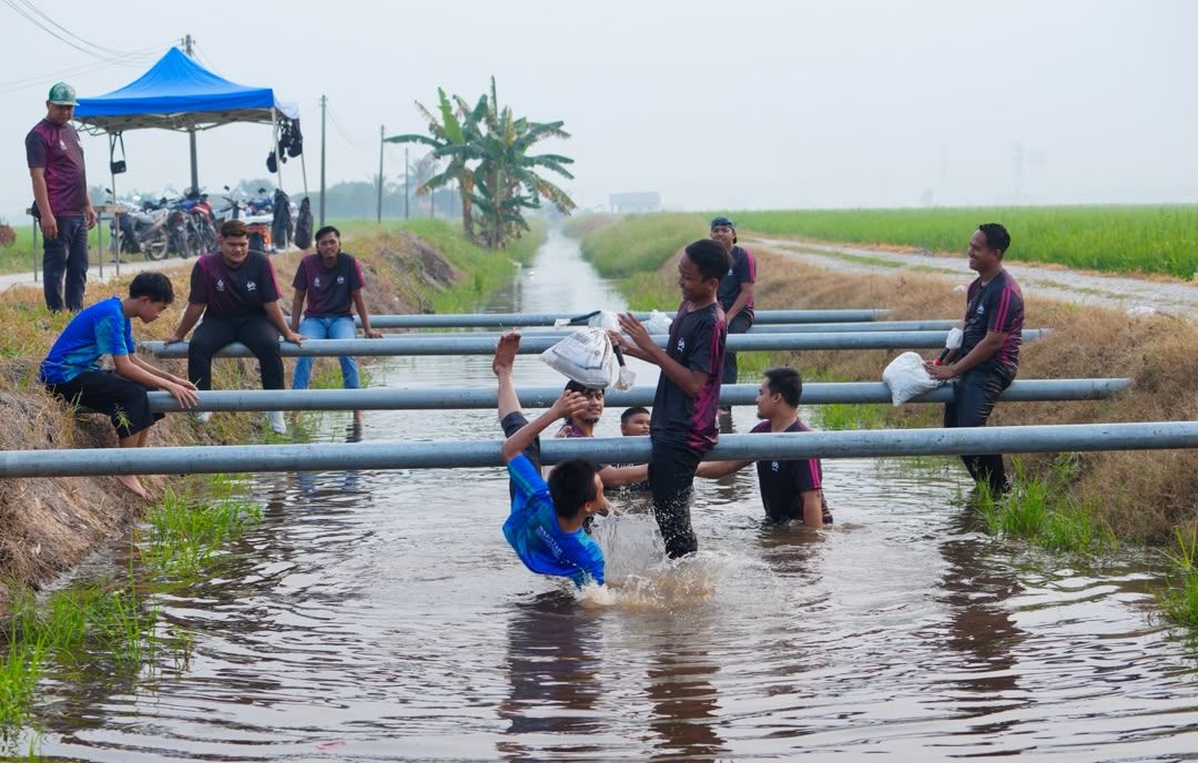 Larian Sawah Padi Tanjong Karang tonjol keindahan, rancak agropelancongan